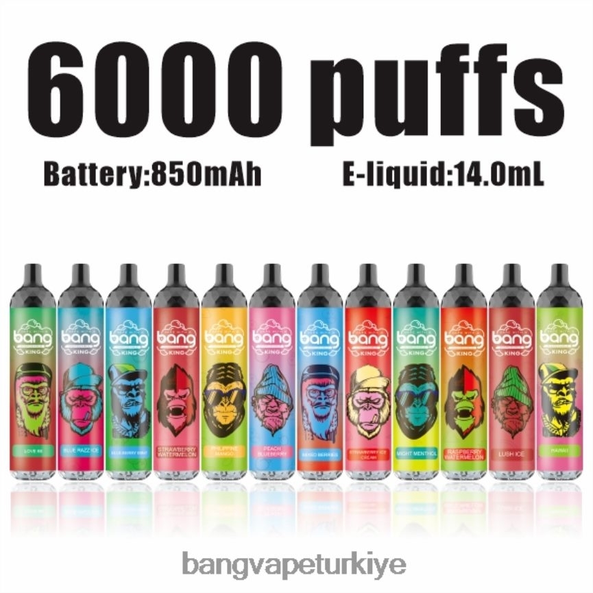 Bang Vape Flavors - Bang Vape King 6000 nefes %5 nic şarj edilebilir tip-c tek kullanımlık R4228Z8
