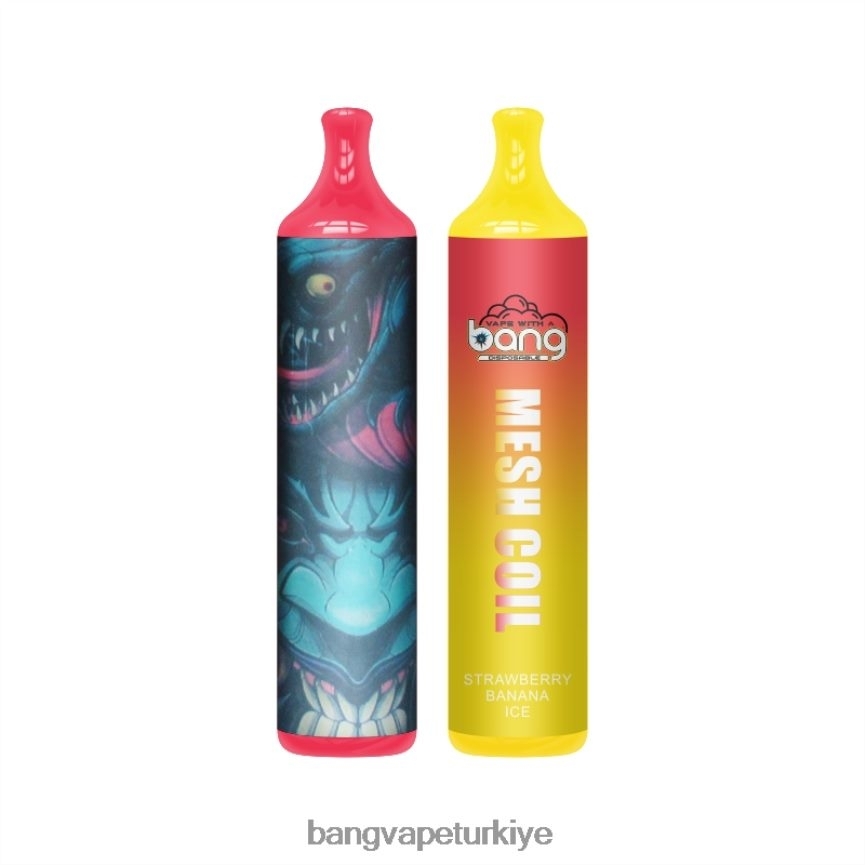 Bang Vape Price - Bang Vape örgü bobini 3500 nefes %2 nic tek kullanımlık R4228Z7
