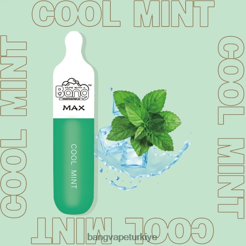 Bang Vape Türkiye - Bang Vape Max 5000 puf çubuğu tek kullanımlık R4228Z10
