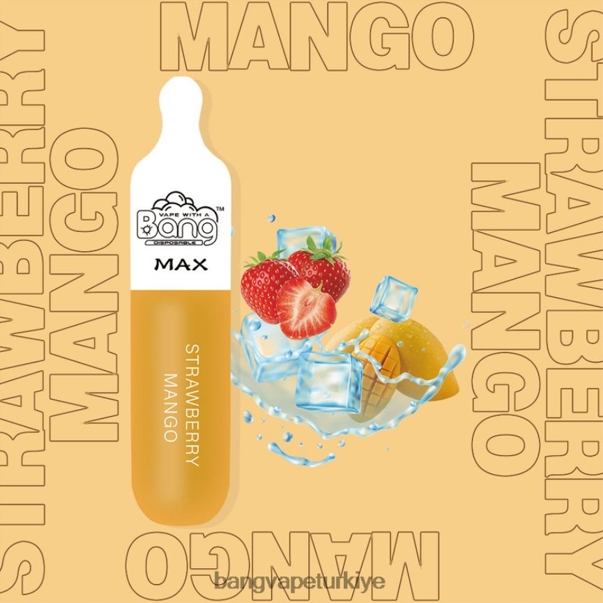 Bang Vape Türkiye - Bang Vape Max 5000 puf çubuğu tek kullanımlık R4228Z10