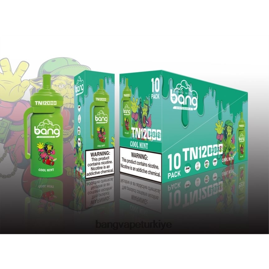 Vape Gang Disposables - Bang Vape TN12000 örgü bobinli bölme tek kullanımlık R4228Z5