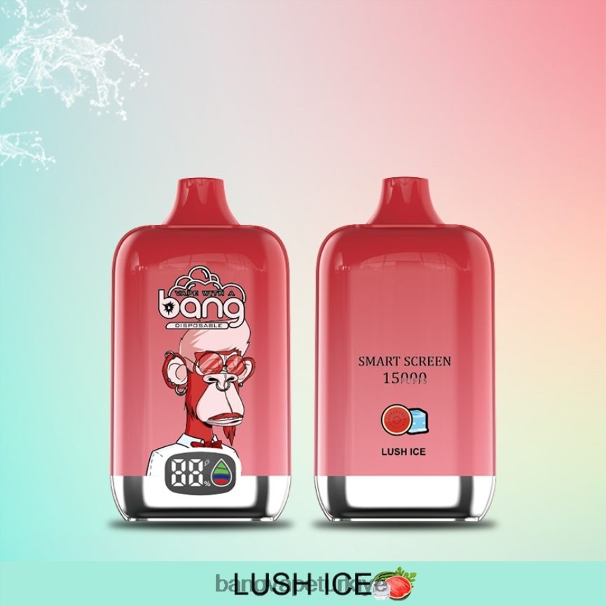Vape Gang Türkiye - Bang Vape Digital Smart Screen 15000 puf 25ml tek kullanımlık R4228Z11