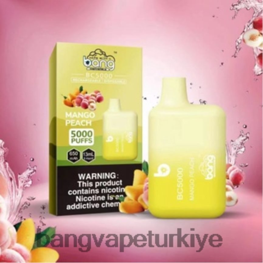 Bang Vape Disposable - Bang Vape Box BC5000 %5 nic 5000 puf kalem tipi-c şarj edilebilir tek kullanımlık R4228Z9