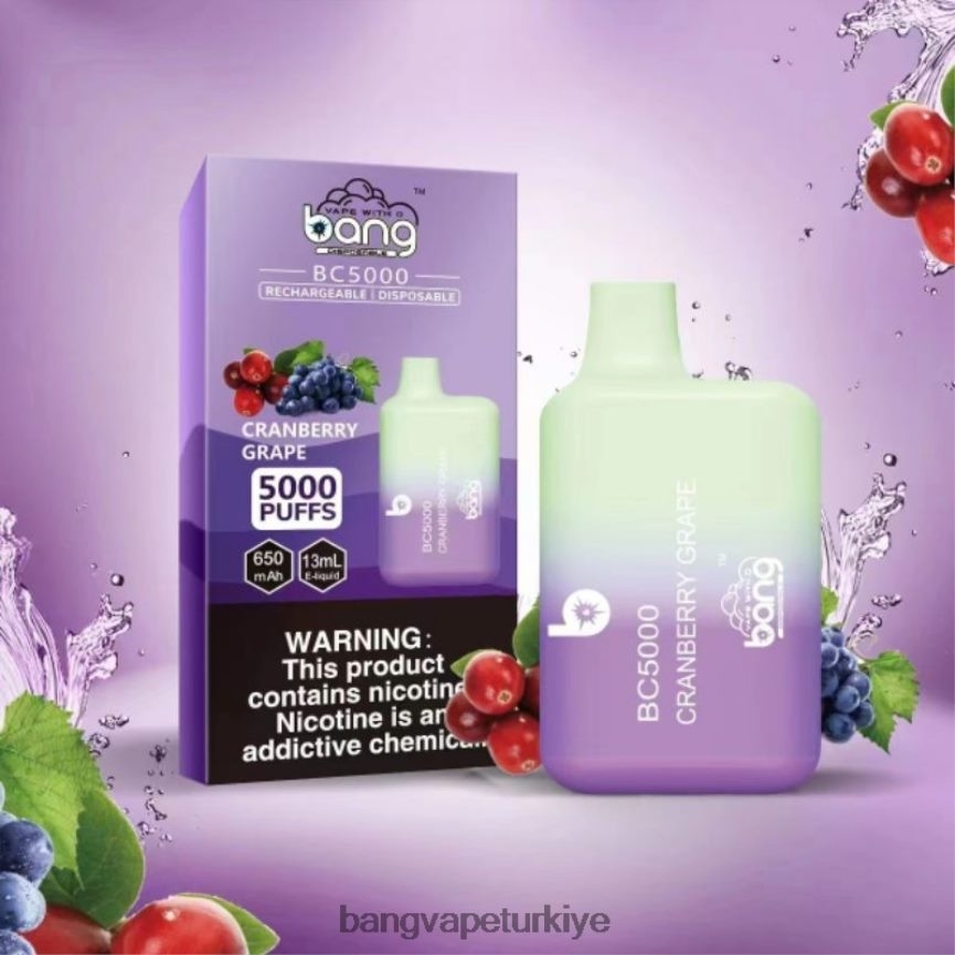 Bang Vape Disposable - Bang Vape Box BC5000 %5 nic 5000 puf kalem tipi-c şarj edilebilir tek kullanımlık R4228Z9