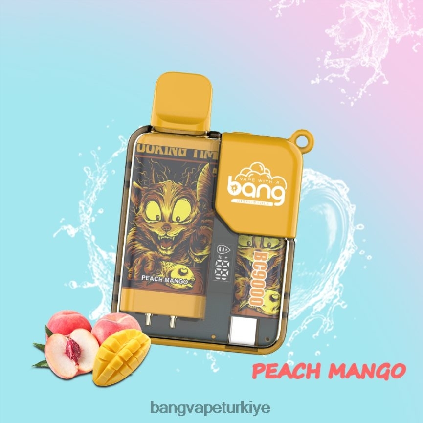 Vape Gang - Bang Vape Box BC9000 önceden doldurulmuş 16ml tek kullanımlık R4228Z6