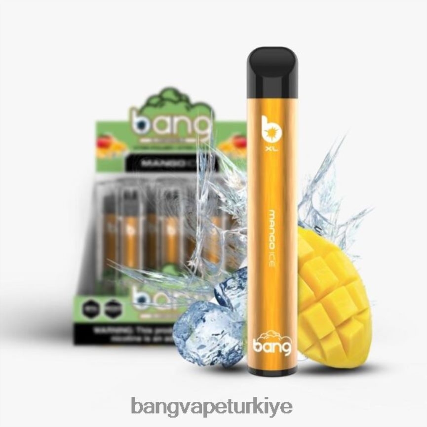 Bang Vape Istanbul - Bang Vape XL tek kullanımlık mango buzu R4228Z31