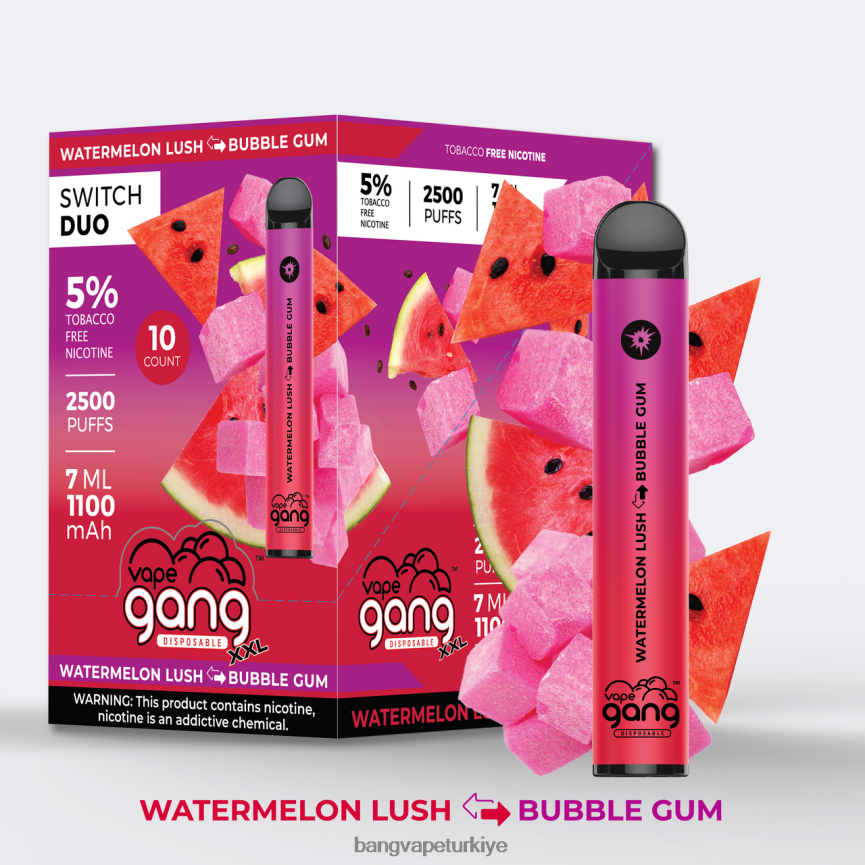 Bang Vape Istanbul - Vape Gang Switch Duo 2 tat (10'lu kutu) karpuz gür - balonlu sakız R4228Z49