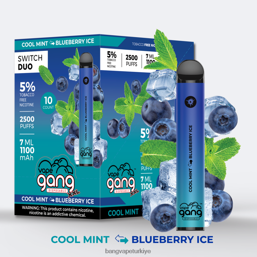 Bang Vape Price - Vape Gang Switch Duo 2 tat (10'lu kutu) serin nane - yaban mersinli buz R4228Z43