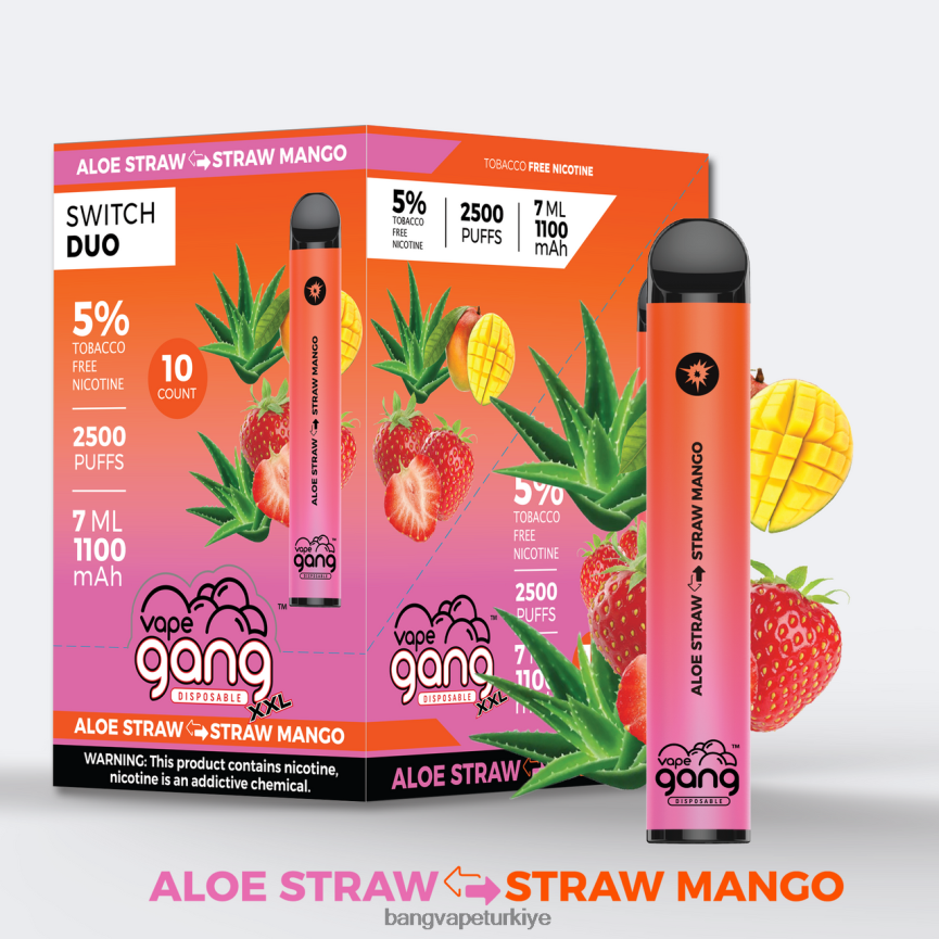 Vape Gang Türkiye - Vape Gang Switch Duo 2 tat (10'lu kutu) aloe çilek - çilek mango R4228Z38