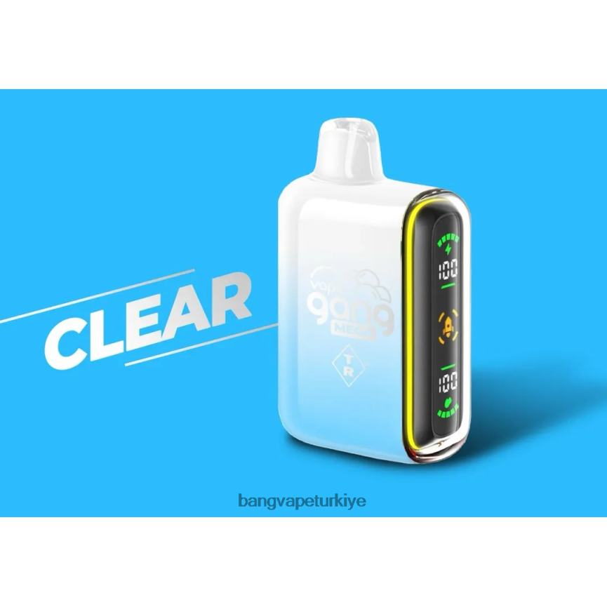 Bang Vape Disposable - Vape Gang MEGA 20.000 nefes tek kullanımlık vape (5'li kutu) temizlemek R4228Z56