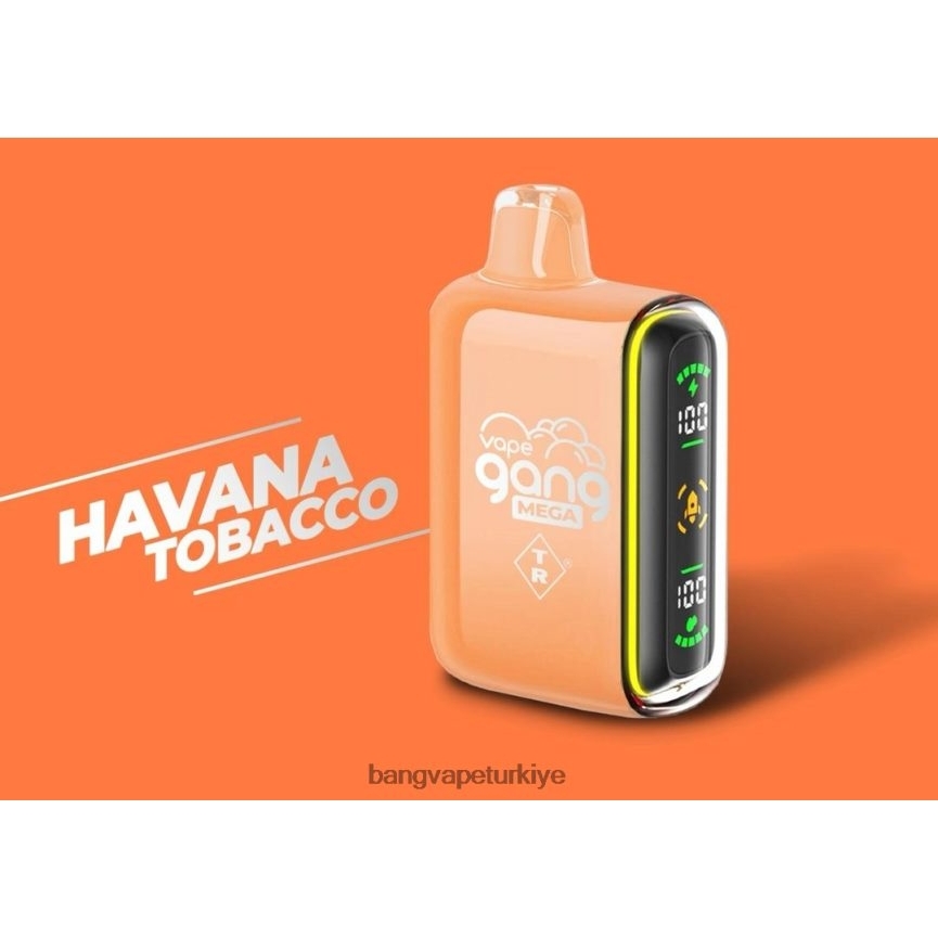Bang Vape Flavors - Vape Gang MEGA 20.000 nefes tek kullanımlık vape (5'li kutu) havana tütünü R4228Z55