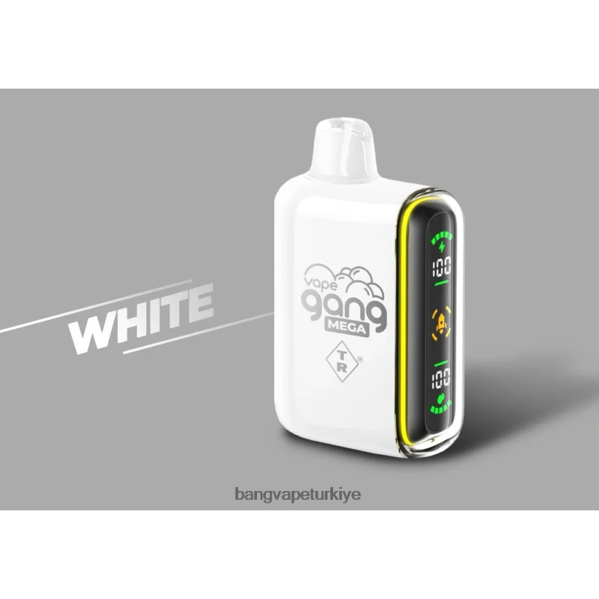 Bang Vape Istanbul - Vape Gang MEGA 20.000 nefes tek kullanımlık vape (5'li kutu) beyaz R4228Z60