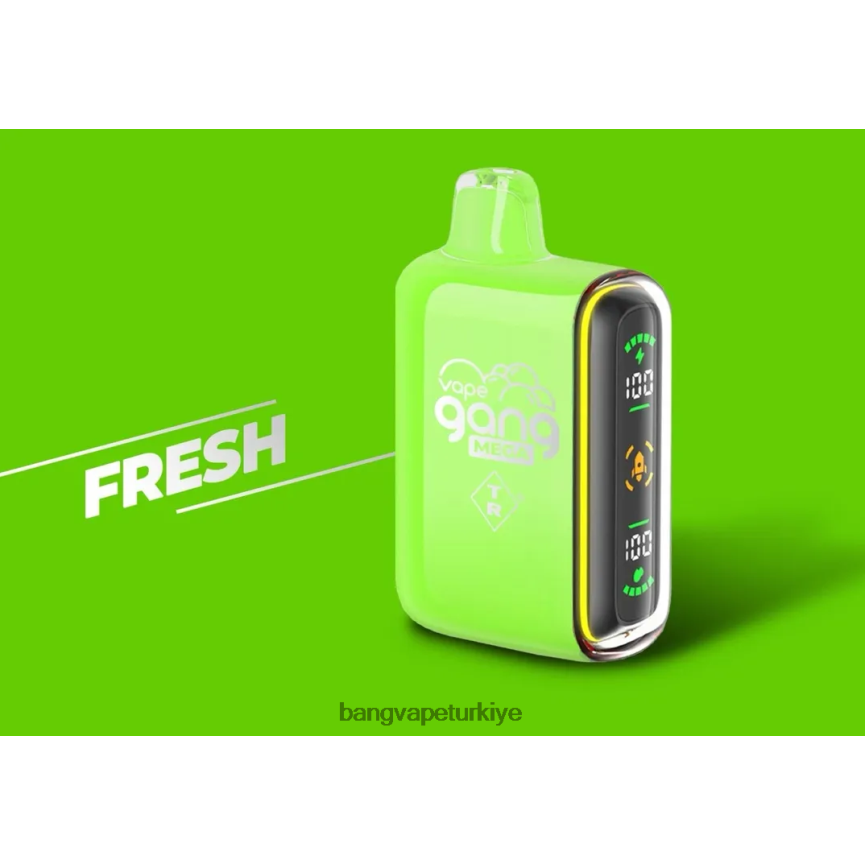 Bang Vape Price - Vape Gang MEGA 20.000 nefes tek kullanımlık vape (5'li kutu) taze R4228Z53