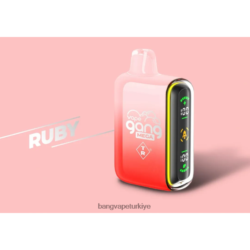 Vape Gang Türkiye - Vape Gang MEGA 20.000 nefes tek kullanımlık vape (5'li kutu) yakut R4228Z58