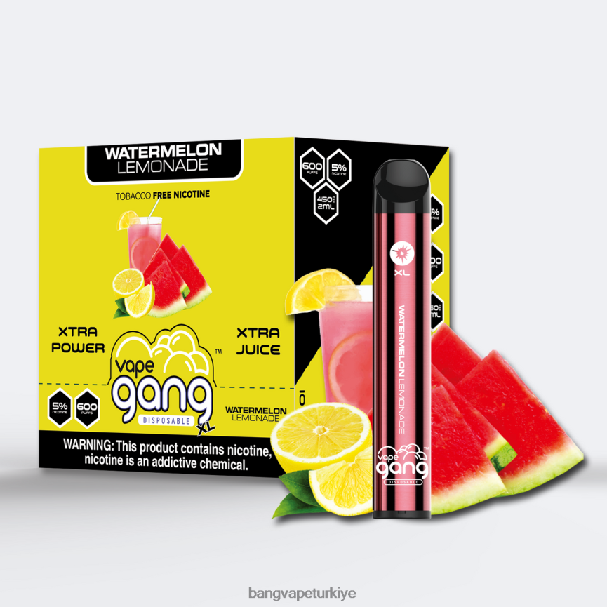 Bang Vape Disposable - Vape Gang XL tek kullanımlık elektronik sigaralar 600 puf (10'lu kutu) karpuz limonata R4228Z65