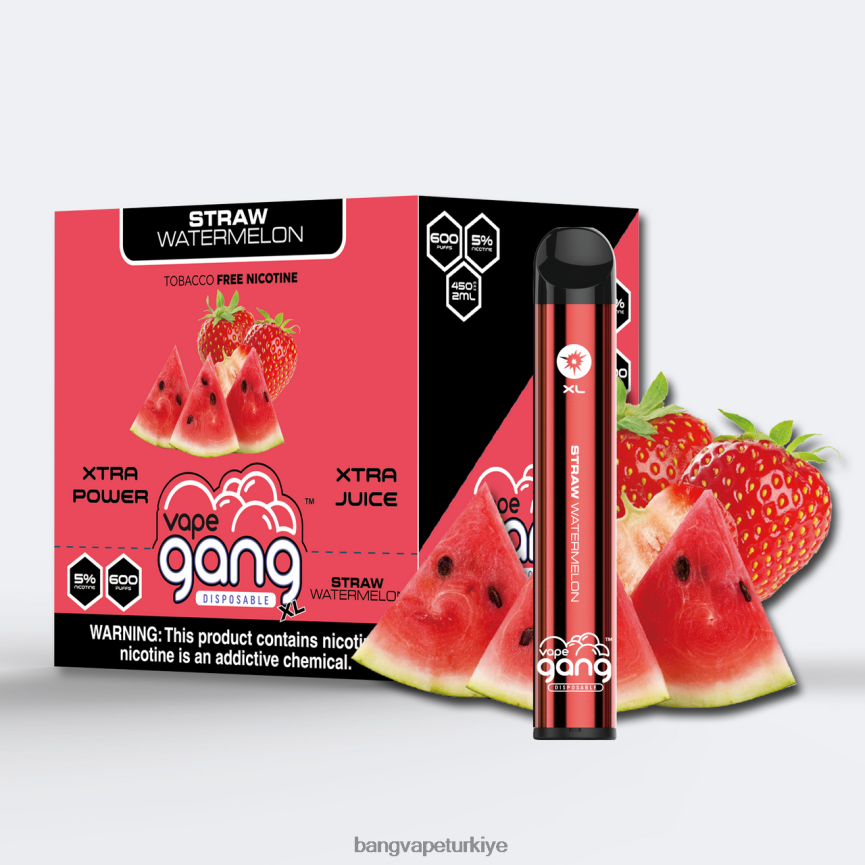 Bang Vape Disposable - Vape Gang XL tek kullanımlık elektronik sigaralar 600 puf (10'lu kutu) saman karpuz R4228Z74