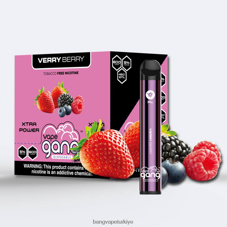 Bang Vape Istanbul - Vape Gang XL tek kullanımlık elektronik sigaralar 600 puf (10'lu kutu) meyveli meyve R4228Z69