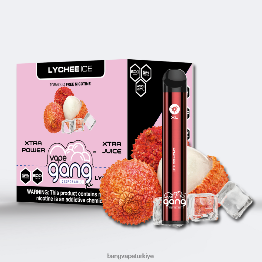 Bang Vape Türkiye - Vape Gang XL tek kullanımlık elektronik sigaralar 600 puf (10'lu kutu) liçi buzu R4228Z75