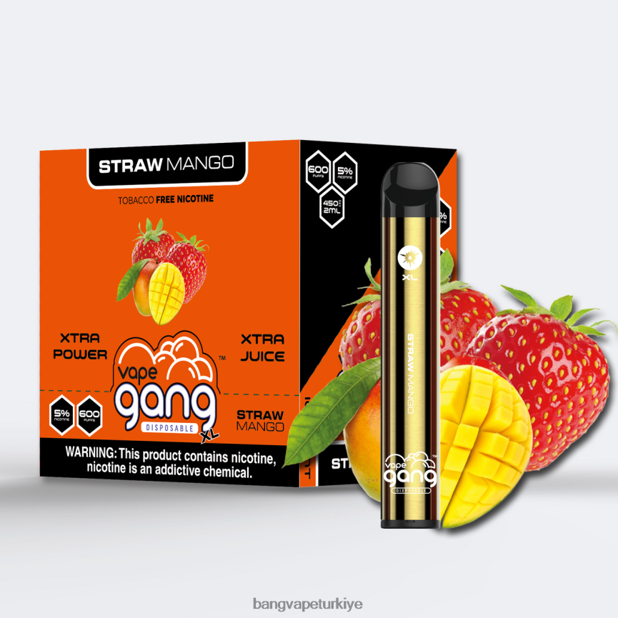 Bang Vape Türkiye - Vape Gang XL tek kullanımlık elektronik sigaralar 600 puf (10'lu kutu) saman mango R4228Z66