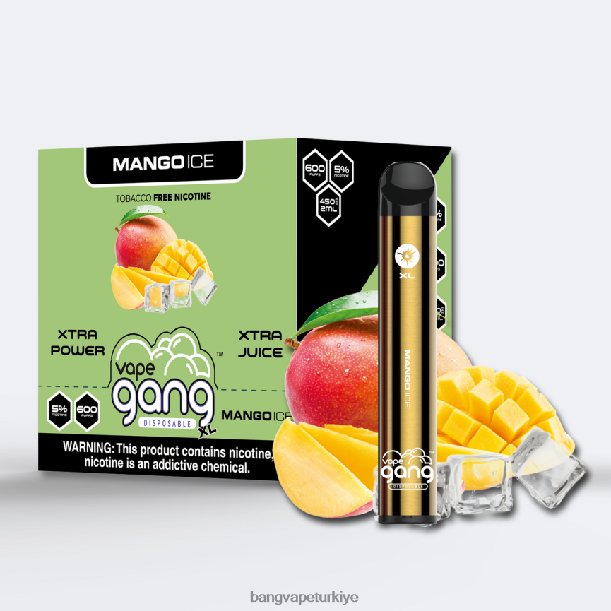 Vape Gang Ankara - Vape Gang XL tek kullanımlık elektronik sigaralar 600 puf (10'lu kutu) mango buzu R4228Z68