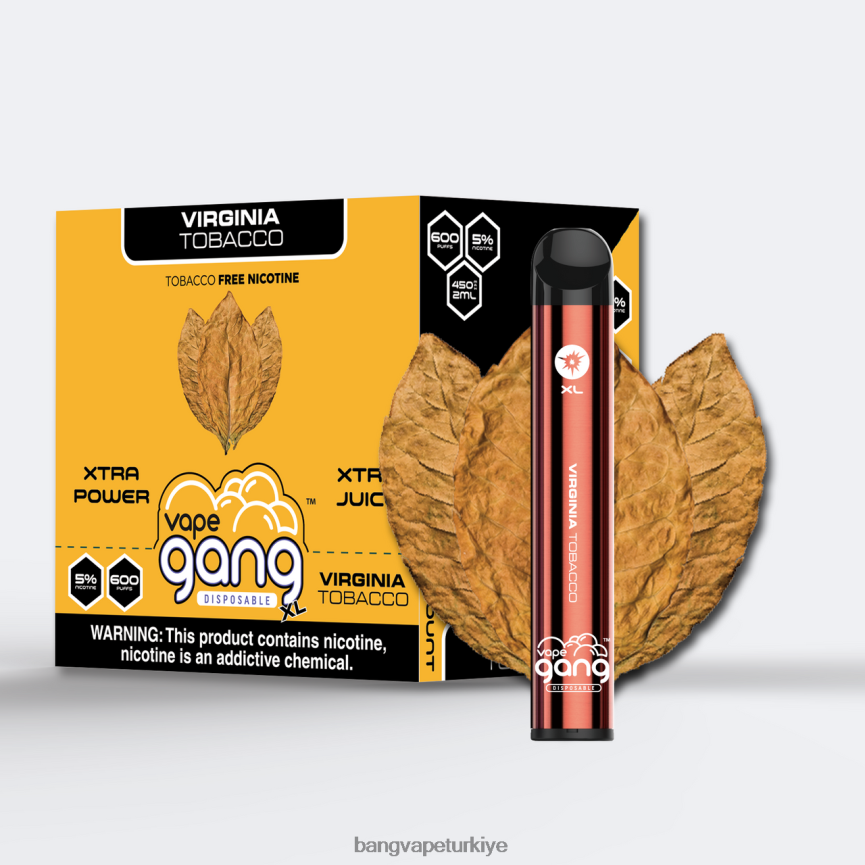 Vape Gang Disposables - Vape Gang XL tek kullanımlık elektronik sigaralar 600 puf (10'lu kutu) virginia tütünü R4228Z70