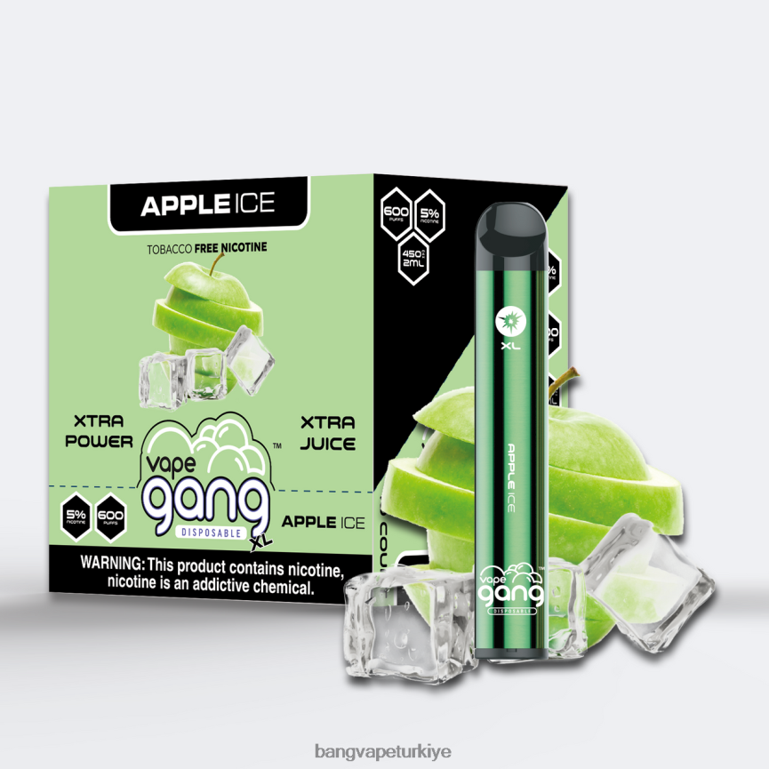 Vape Gang Türkiye - Vape Gang XL tek kullanımlık elektronik sigaralar 600 puf (10'lu kutu) elmalı buz R4228Z67